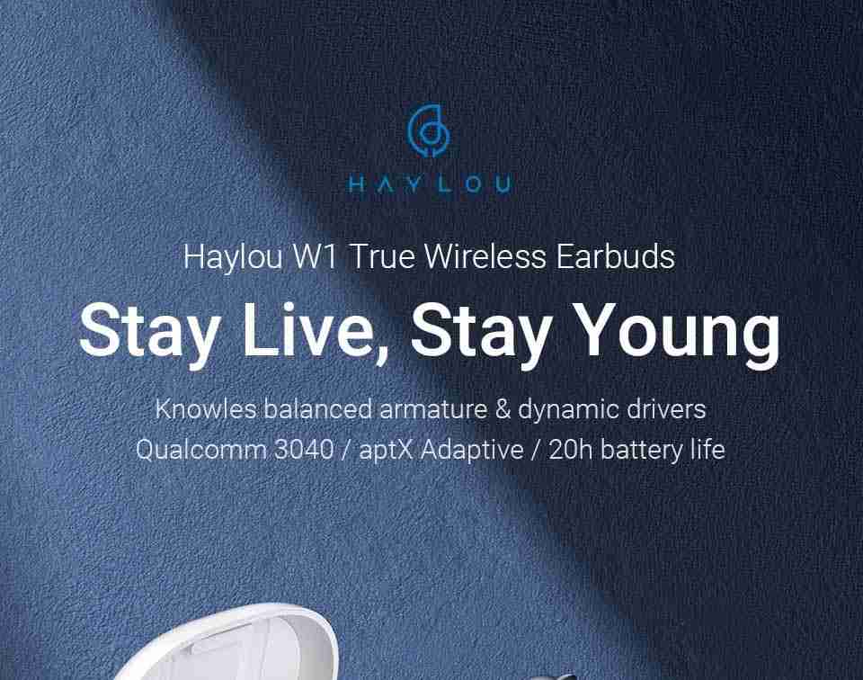 Haylou W1 True Wireless Earbuds review